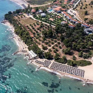 https://blue-dolphin-metamorfosi.hotelschalkidiki.net